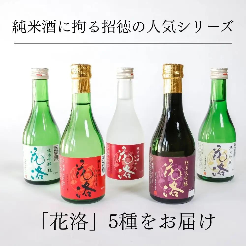 【招徳酒造】日本酒 花洛 飲み比べ 300ml×5本｜京都 伏見の日本酒 人気シリーズ 