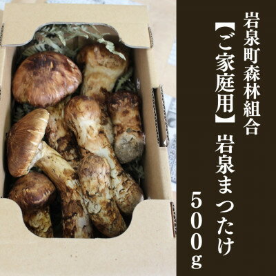 【ふるさと納税】≪ご家庭用に≫　岩泉まつたけ 500g【配送不可地域：離島】【1424102】