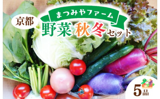 【先行予約】京都・まつみやファームの京都の野菜秋冬セット（5品）（2026年11月上旬〜発送）　京野菜 セット 使いやすい 日用使い 厳選 新鮮 お試し 献立 とれたて 旬 送料無料