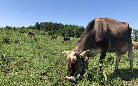 北海道十勝更別村 感動の赤身肉！ 「十勝オーガニック 放牧牛（ グラスフェッドビーフ） すきやき ・しゃぶしゃぶセット 」 F21P-594