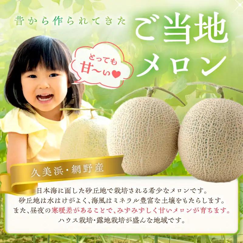 【メロン】訳あり 砂丘メロン 1玉 | 2026年
