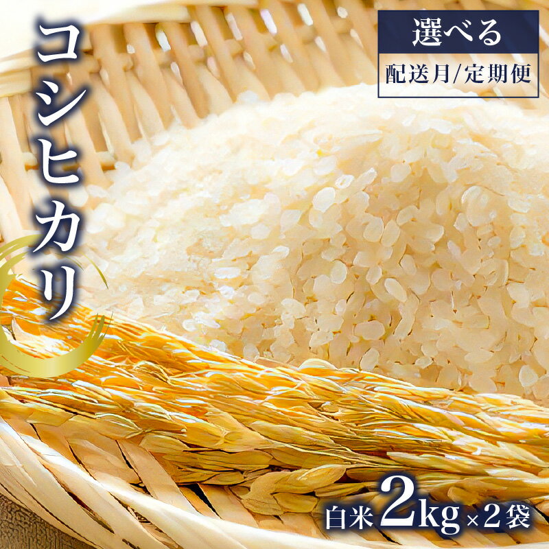 【ふるさと納税】【選べる 配送回数】コシヒカリ白米2kg×2袋【2025年産】 米 お米 精米 ごはん おにぎり 有機肥料 食品 国産 こだわり 栽培期間中農薬不使用 お取り寄せ 千葉県 南房総市 送料無料