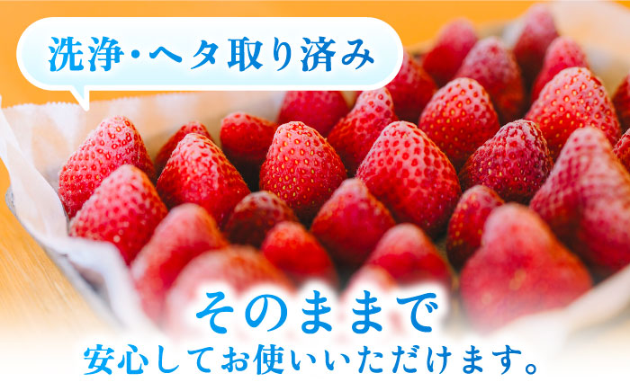 完熟冷凍あまおう 1kg 糸島市 / slowberry strawberry [APJ006]