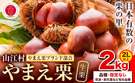 GI認証登録 山江村の やまえ栗 生栗 2kg 品種指定なし 筑波 美玖里 など旬の品種 やまえ栗ブランド部会 有限会社やまえ堂《9月下旬-10月中旬頃出荷》熊本県 球磨郡 山江村 栗 くり フルーツ