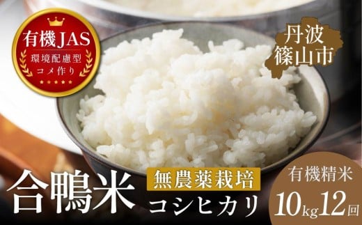 【定期便】有機JAS認証 兵庫県丹波篠山産 コシヒカリ 精米〈合鴨農法・無農薬・無化学肥料〉10kg × 12回 伝田農産の希少米 令和8年産予約