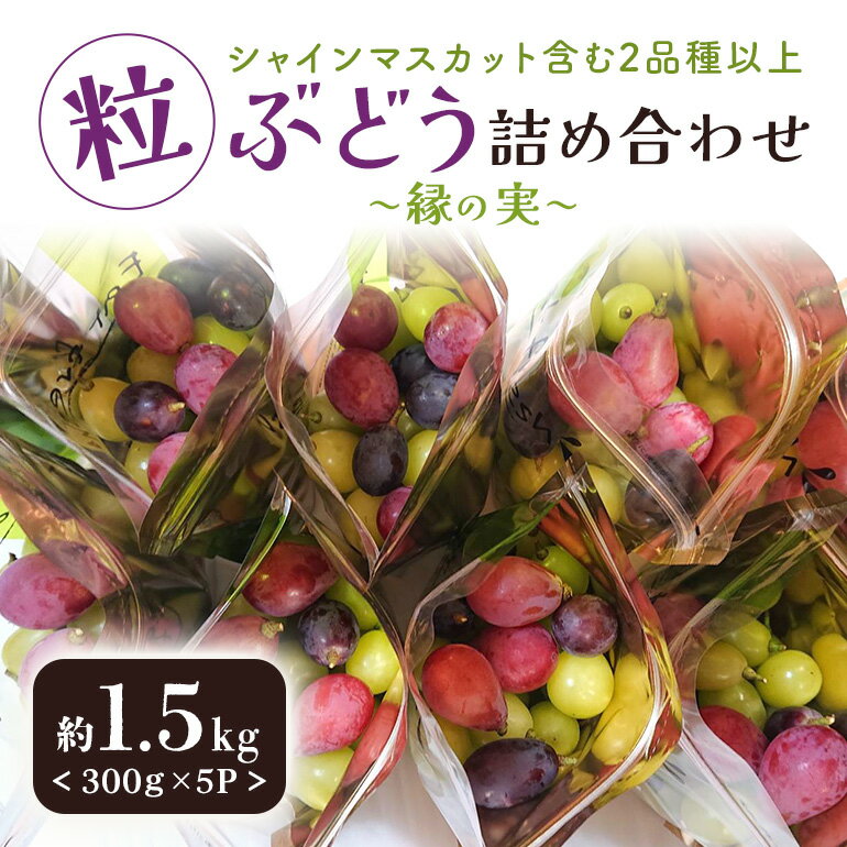 【ふるさと納税】期間限定 数量限定 粒ぶどう詰め合わせ〜縁の実〜 約1.5kg （シャインマスカット含む2品種以上） 食べくらべ 食べ比べ ぶどう ブドウ セット 詰合せ 詰め合せ 詰め合わせセット シャインマスカット 【9月下旬以降発送予定】 56-A