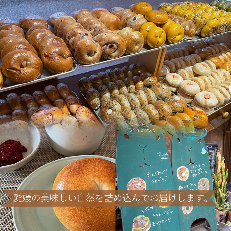 夏メニュー！ ベーグル専門店 BAGELラクダピクニック バラエティベーグルセット