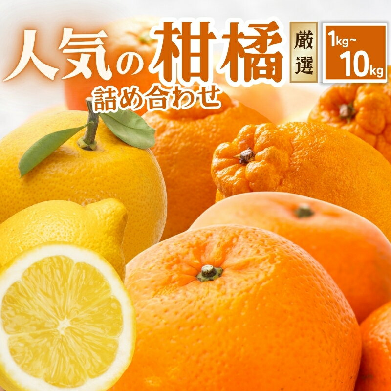 【ふるさと納税】厳選 柑橘詰合せ 【選べる容量】1kg 2.5kg 5kg 7.5kg 10kg 【有田の春みかん詰め合わせ・フルーツ詰め合せ・オレンジつめあわせ】【光センサー選別】＜2026年1月〜4月下旬ごろに順次発送＞ / みかん 果物 フルーツ オレンジ ミカン 柑橘 和歌山 セット