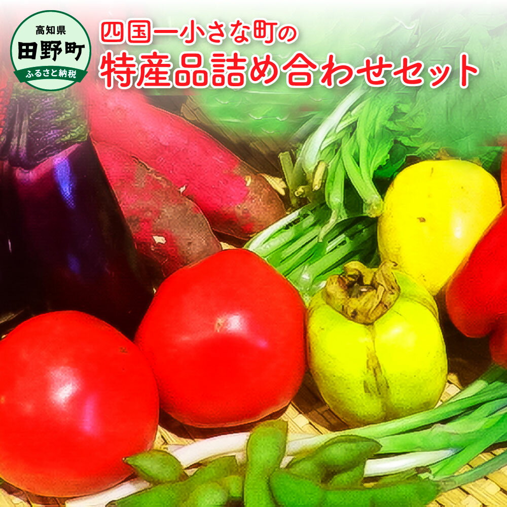 【ふるさと納税】特産品 詰合せ 四国一小さな町の特産品詰め合わせセット 野菜 詰め合わせ セット 季節の野菜 旬の野菜 旬 特産 新鮮 田野町 道の駅 サラダ 根菜 やさい お楽しみ 野菜セット 特産品 常温配送 冷蔵配送 高知県産 故郷納税 ふるさとのうぜい 田野町 13000円