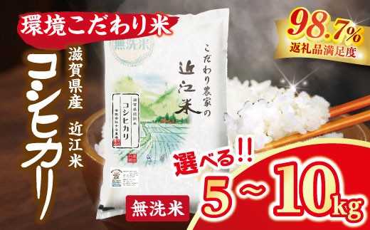 
                  令和８年産 近江米 コシヒカリ 無洗米 5kg / 10kg 選べる 国産 滋賀県 米 中谷農場【BNSKU1】 5kg 10kg 米 こしひかり コシヒカリ おこめ 贈り物 人気米 ご飯 白米 コメ 贈答 滋賀県 近江八幡市 無洗米 環境こだわり米 
                