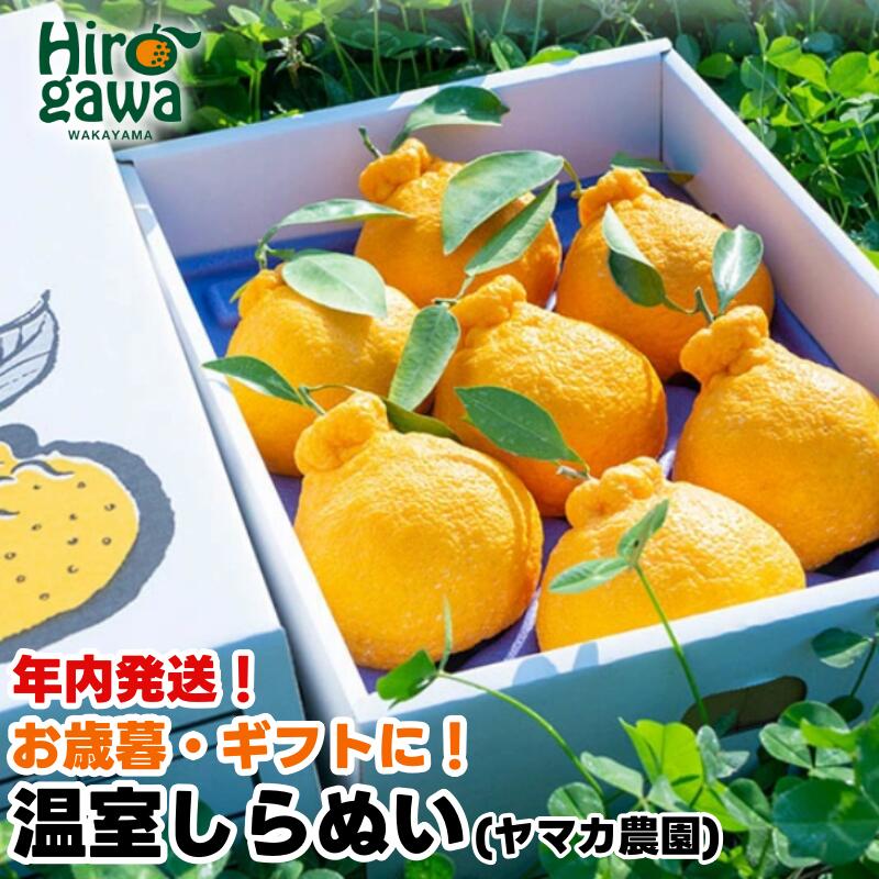 【ふるさと納税】 不知火 ハウス栽培 / しらぬい デコポン 甘い 和歌山 柑橘 贈答 歳暮 3kg 8000円 ※11月下旬〜12/25頃までに順次発送 (年内にお届け) //dekopon