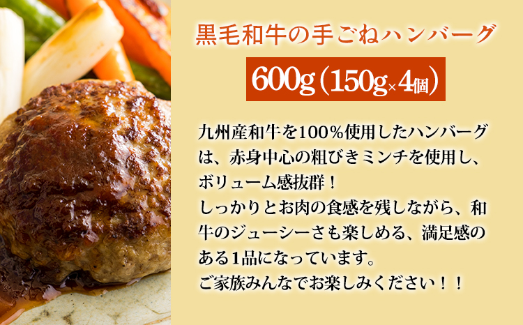 お手軽国産素材の手作りおかず3種類セット3.1kg(ピーマン肉詰め ハンバーグ 唐揚げ)　九州産コスパ・ボリューム満点 使いきりサイズ  一人暮らし 1人暮らし 時短調理 簡単調理 送料無料 [からあ