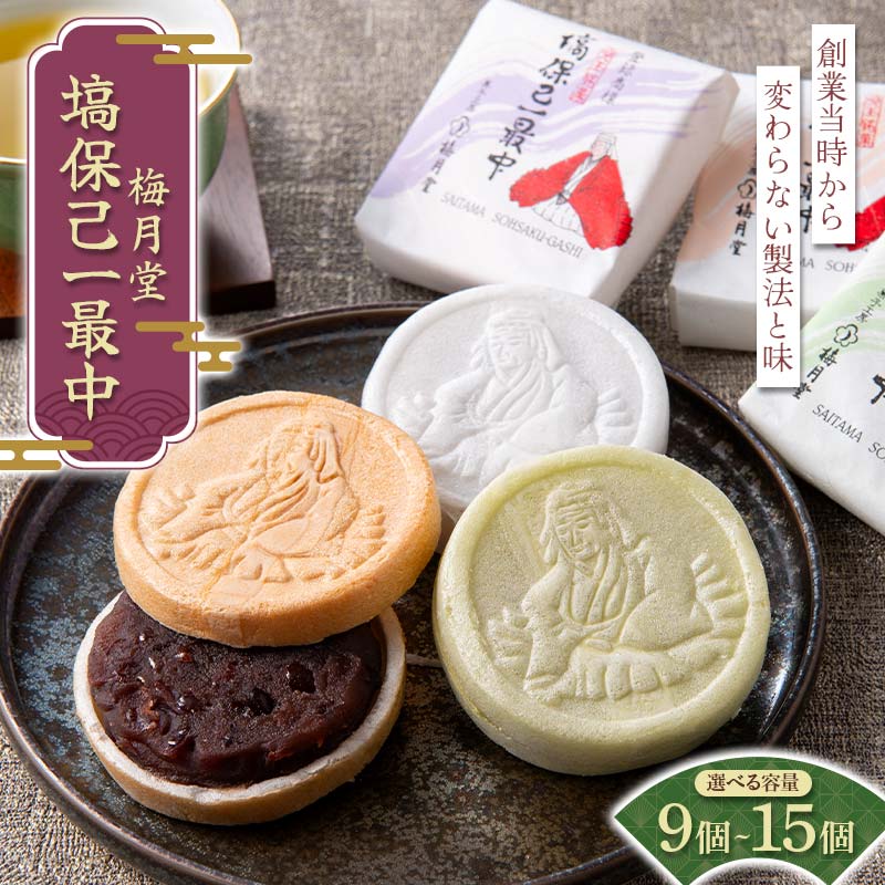 【ふるさと納税】＼選べる容量／ 梅月堂 塙保己一 最中3種 9個 12個 15個 化粧箱入り 和菓子 お菓子 菓子 最中 もなか モナカ 贈答 贈り物 プレゼント ギフト 家庭 自宅 埼玉県 本庄市 F5K-585var