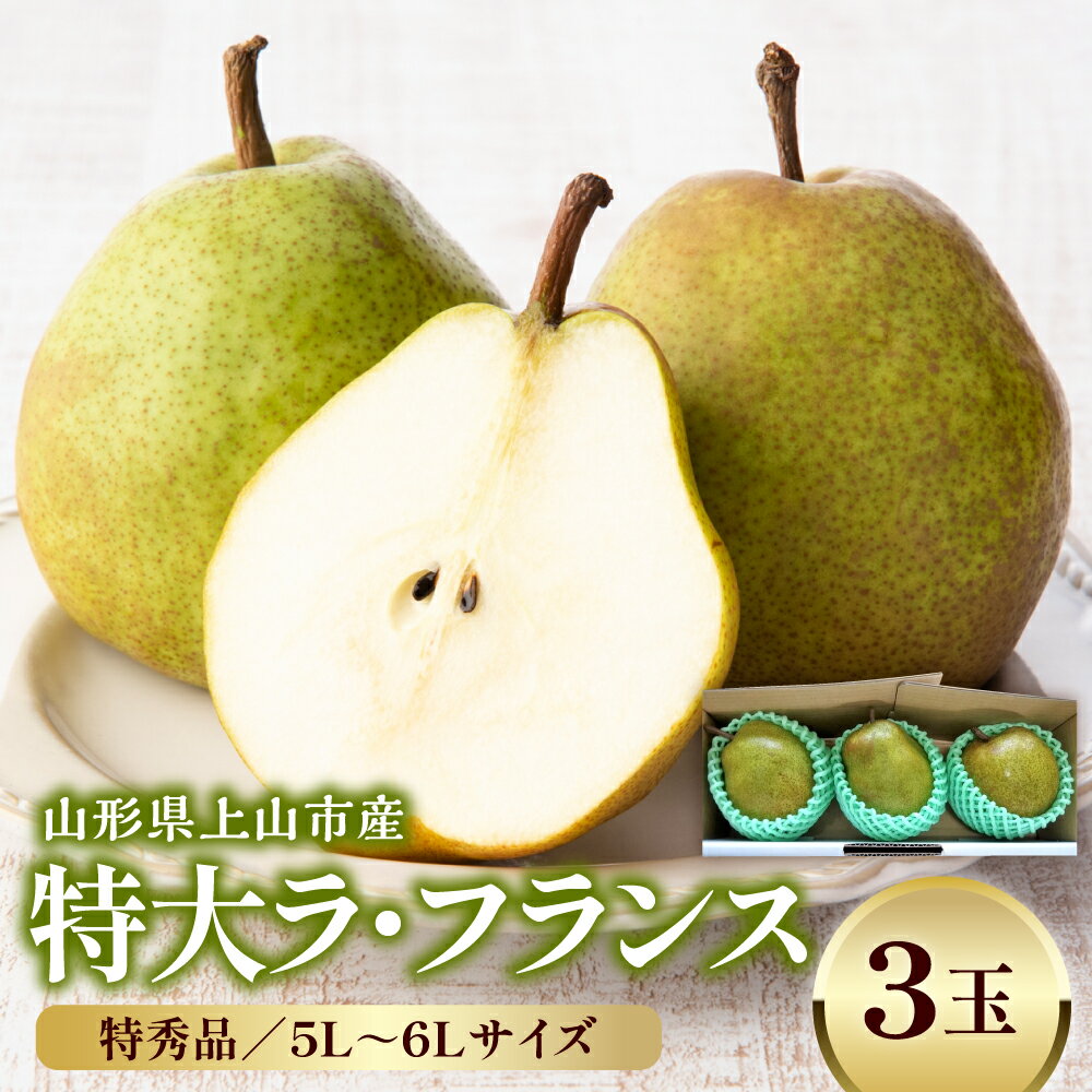 【ふるさと納税】西洋梨（ラ・フランス）特大（5～6L）3玉 特秀品 洋なし 果物 フルーツ 贈り物 ギフト 山形県 上山市 0042-2513
