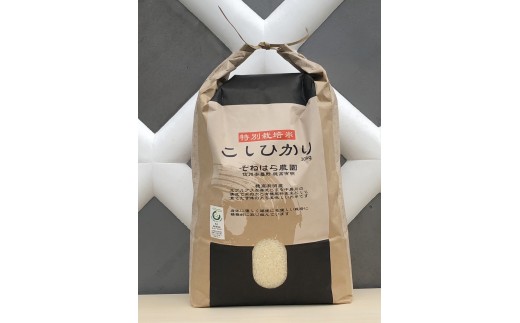 そねはら農園　【穂高有明産】特別栽培米こしひかり「精米10㎏」　