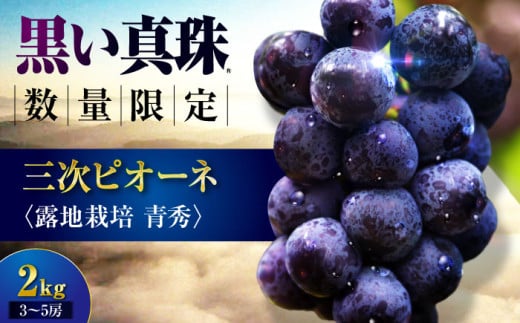 【先行予約】【8月下旬以降順次発送】 三次ピオーネ 露地栽培 青秀 2kg （3～5房） 30セット限定 ぶどう ピオーネ 葡萄 ブドウ フルーツ 果物 三次市 / 三次ピオーネ生産組合 [APBD002]