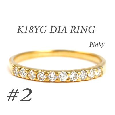 ふるさと納税 富士川町 ピンキー　エタニティリング　0.18CT　R3996DI-Y #2