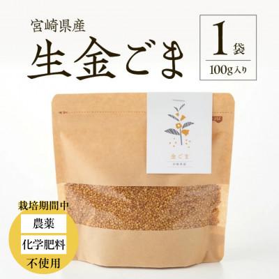 ふるさと納税 小林市 【栽培期間中 農薬・化学肥料不使用】生金ごま 100g