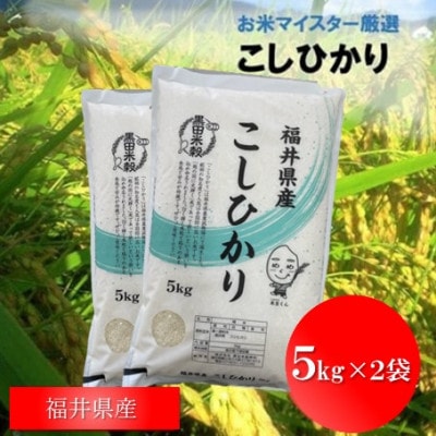 福井県産【令和7年産】こしひかり　10kg【1437122】