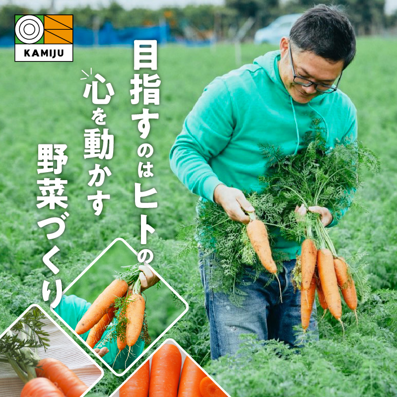 ＜フジテレビ『どっちのふるさと？』で紹介されました！＞ こどもも食べられる甘み！ジュースにしても美味しい！「マドンナキャロット」 10kg にんじん 野菜 H105-123
