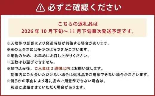 福岡県産ブランドキウイ・甘うぃ 約3kg （24-33玉） キウイ キウイフルーツ 果物 くだもの フルーツ 常温 国産 岡垣町 【2026年10月下旬～12月上旬発送予定】