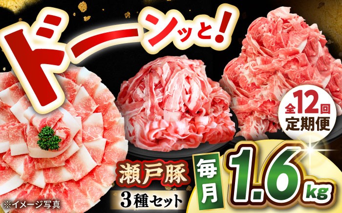
                  【全12回定期便】 瀬戸豚 豚肉3種セット計1.6kg（ロースしゃぶ500g、バラスライス500g、カタバラ切り落とし600g）/ 豚肉 小分け 冷凍 便利 / 瀬戸市 / 関屋精肉店 [BBBQ063]
                