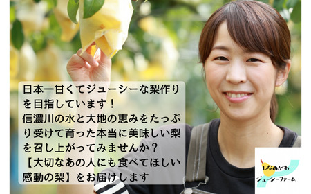 [2026年産先行予約] 和梨 新興 約5kg 令和8年度 新潟県 三条市産 梨 [しなのがわジューシーファーム]【015S135】