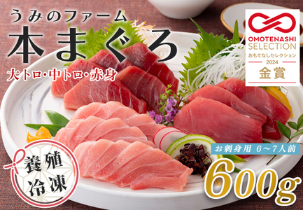国産 養殖本マグロ3種盛 大トロ 中トロ 赤身 600g 刺身用 冷凍 柵 ギフト 贈答 産地直送