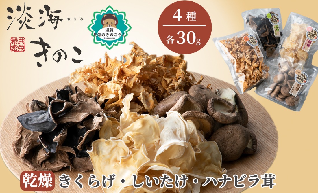 【D-710】共栄精密　淡海きのこ　乾燥きのこセット 乾燥きくらげ・乾燥しいたけ・乾燥ハナビラ茸（よかもんパッケージ入り）［高島屋選定品］