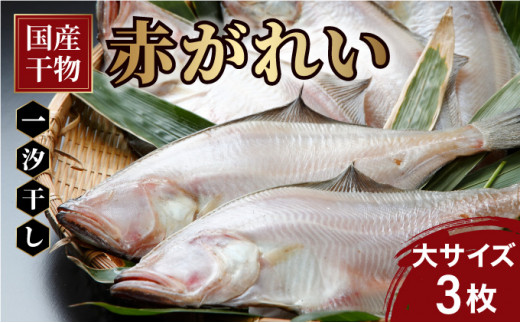 【国産】干物 赤がれい 一汐干し 大サイズ 3枚セット ＜数量限定＞【福井県産 かれい カレイ 干物 一夜干し 魚介類 小分け 個包装 詰め合わせ 無添加 保存料・着色料不使用】[007-a006] 