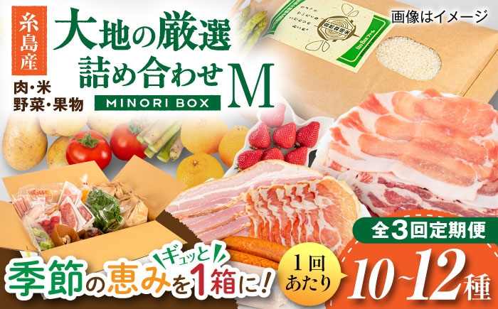 
                  【全3回定期便】糸島産 肉 米 野菜 果物 厳選詰め合わせ MINORI BOX Mサイズ 糸島市 / emma.Inc / 米 肉 野菜 果物 詰め合わせ [AOP012]
                