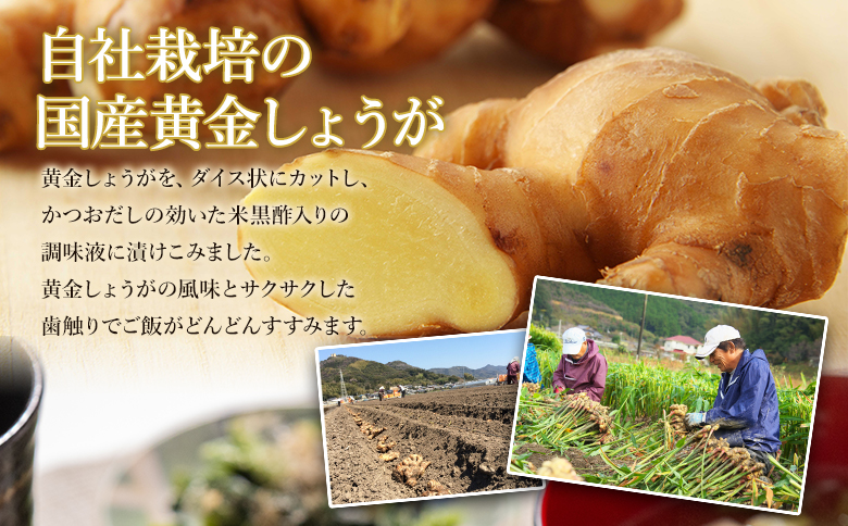 【7日程度で発送】味付け 極しょうが 110g×4袋 計440g 早い スピード発送 7日程度 早く 届く Xnb-0013
