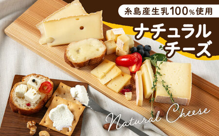 【全3回定期便】 糸島産 生乳 100％ 使用 手作り チーズ 充実 7種 セット 糸島市 / 糸島ナチュラルチーズ製造所TAK-タック- [AYC006]
