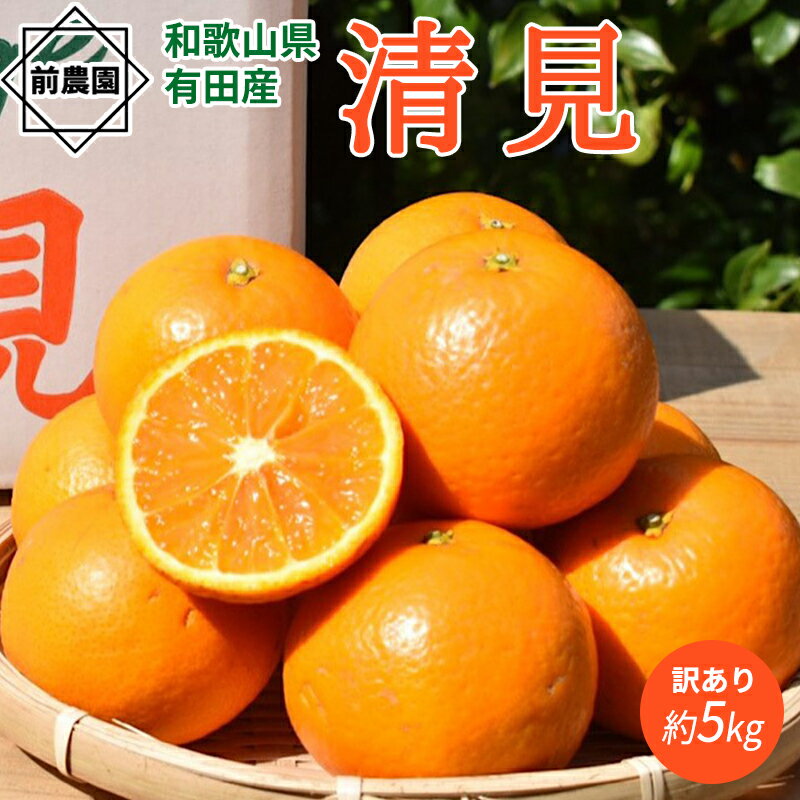 【ふるさと納税】【2026年先行予約】【限定】 家庭用 清見 約 5kg S～3L サイズ混合 訳あり ほどよい 酸味 甘味 マッチ 食べやすい 産地直送 国産 みかん 柑橘 果物 フルーツ 果実 食品 食べ物 デザート お取り寄せ お取り寄せフルーツ 有田地方 和歌山県 湯浅町 送料無料