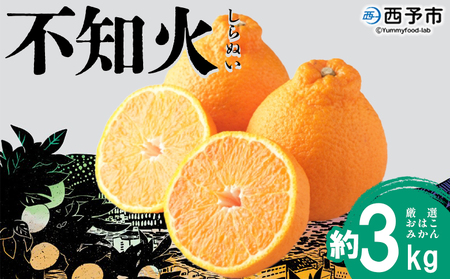 ＜おはこやがつくる おはこデコ（不知火）約3kg（L～3Lサイズ）＞ 果物 フルーツ 柑橘 しらぬい みかん 特産品 西宇和 愛媛県 西予市【常温】『2026年2月上旬～2月下旬迄に順次出荷予定』MOK0002