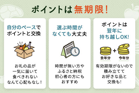 【有効期限なし！後からゆっくり特産品を選べる】岐阜県関市カタログポイント