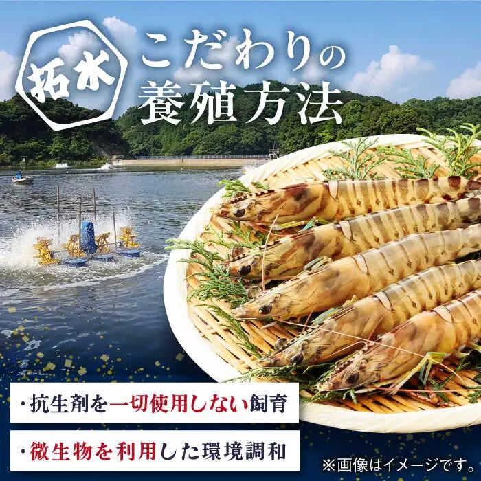 伊万里特産 車海老の塩焼き 計8尾 / 佐賀県 / 株式会社拓水 伊万里クルマエビセンター [41AEAJ004]