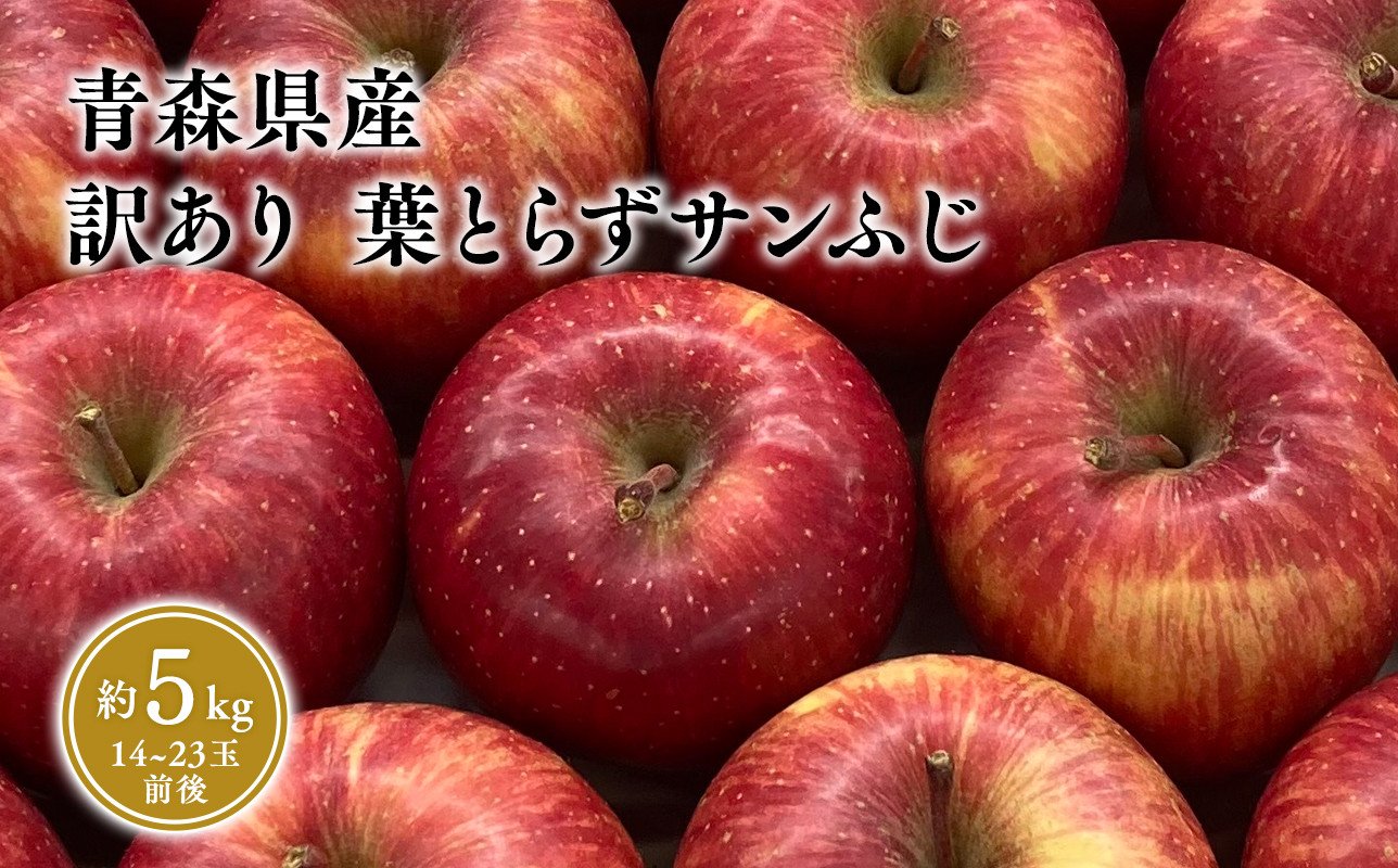 
1～3月 訳あり 葉とらず サンふじ 家庭用 約5kg 【岩渕農園・平川市産・青森りんご・1月・2月・3月】
