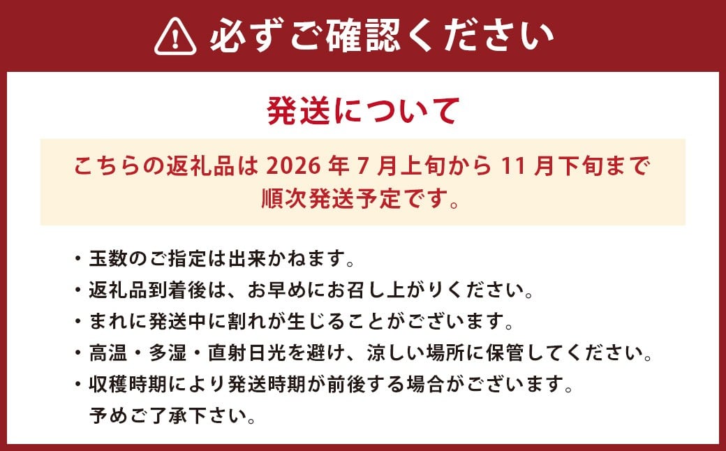 まごころミニトマトの宝石箱 1.7kg(約80～110玉)×2箱 計3.4kg サンチェリーピュア トマト
