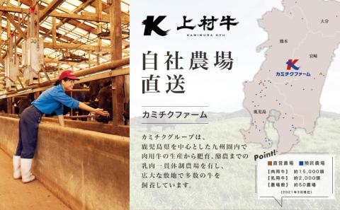 【自慢の自社ブランド牛】鹿児島県産 上村牛すきしゃぶ用 厳選部位600g（200g×3P）