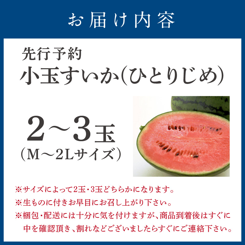 【0060-5】小玉すいか(ひとりじめ)2～3玉 和歌山産《先行予約》