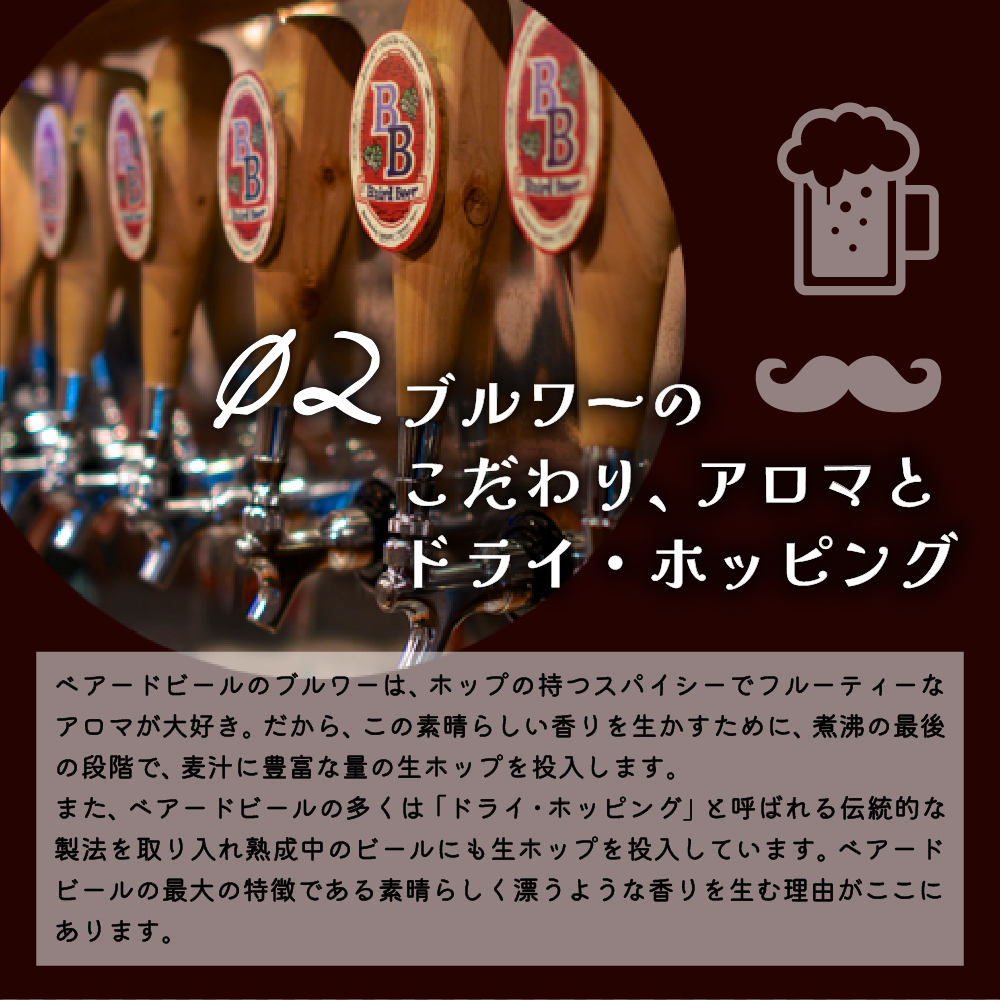 （定期便・3回）静岡 伊豆市 修善寺 ベアードビール おすすめ 330ml × 6本 セット 036-001