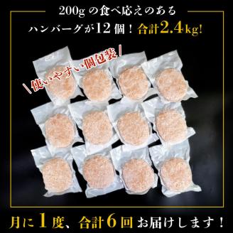 6ヶ月定期便 四万十ポーク入りハンバーグ 2.4kg(200g×12個)