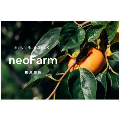 ふるさと納税 大野町 岐阜県大野町産　富有柿　2L　12個入り |  | 03