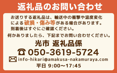 B002 とらふく ふく刺し・ふく鍋セット（2～3人前） 冷蔵 山口県産
