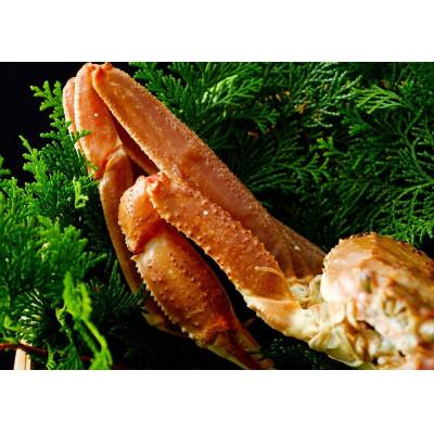 ふるさと納税 若桜町 【先行予約】鳥取県産　タグ付き活松葉がに　700g以上×2枚 |  | 02