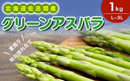 【夏採り】 グリーンアスパラ 1kg（L～3L）旬の採れたて 北海道 佐呂間産 （2026年7月出荷開始先行予約） SRMM016