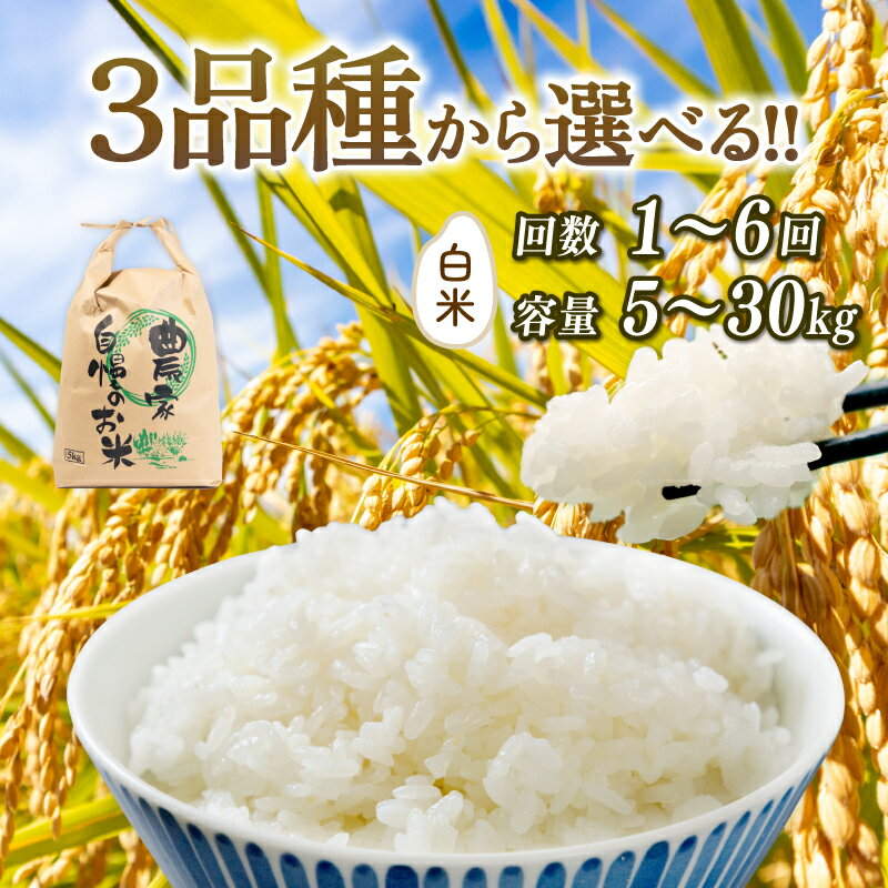 【ふるさと納税】 新米予約 令和7年産 白米 選べる 【品種】 【容量】 【定期便】 コシヒカリ ミルキークイーン にじのきらめき 5kg 10kg 20kg 30kg 定期 3ヶ月 6ヶ月 2025年産 新米 先行予約 米 特別栽培米 国産 環境こだわり お試し こめ 農家直送 滋賀県 竜王町 送料無料