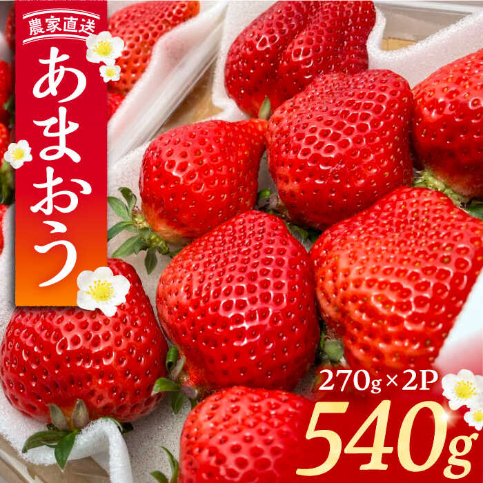 【ふるさと納税】【2月-4月発送】農家直送 あまおう 540g （270g以上 × 2 パック） 土耕栽培《豊前市》【内藤農園】果物 いちご [VAB014] 8000 8000円