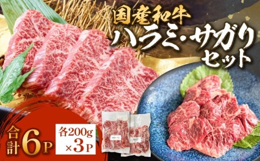 国産和牛 ハラミ サガリ セット 6P 1.2kg 国産 和牛 牛肉 肉 お肉 はらみ さがり 宮城県産 焼肉 バーベキュー 宮城県 石巻市